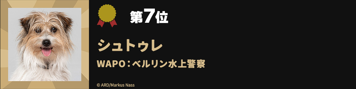 第7位シュトゥレ WAPO:ベルリン水上警察