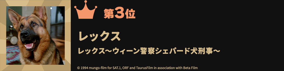 第3位レックス レックス~ウィーン警察シェパード犬刑事~