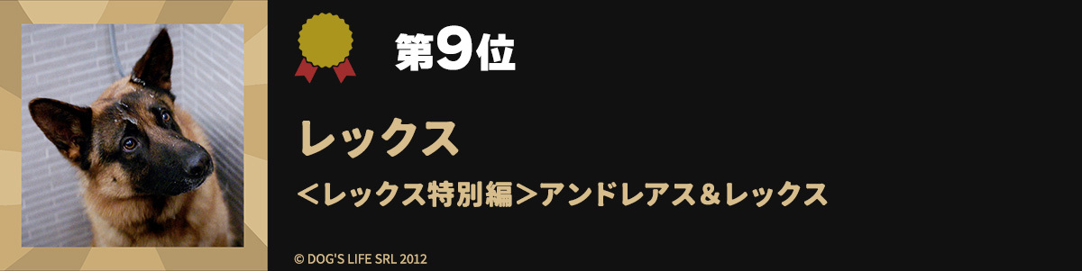 第9位レックス <レックス特別編>アンドレアス&レックス