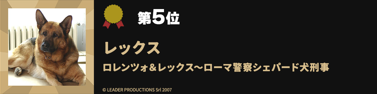 第5位レックス ロレンツォ&レックス~ローマ警察シェパード犬刑事