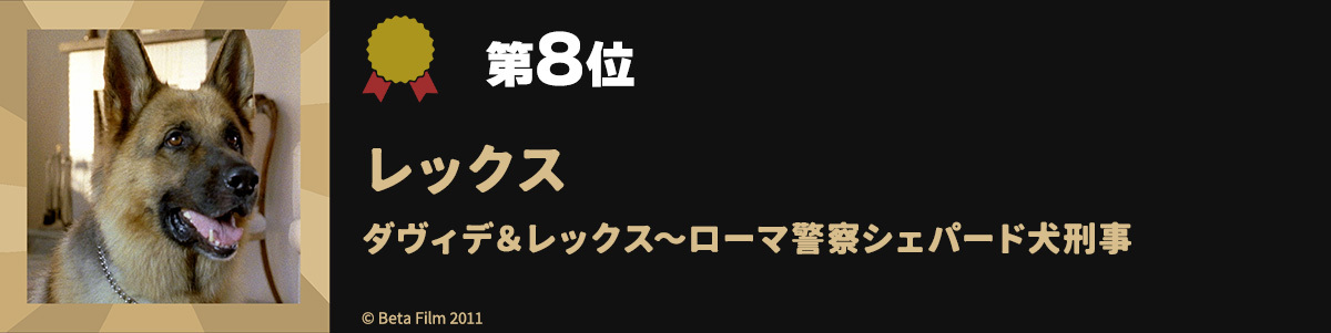 第8位レックス ダヴィデ&レックス~ローマ警察シェパード犬刑事